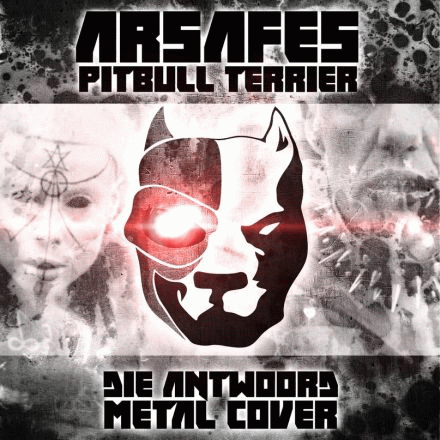 Arsafes : Pitbull Terrier